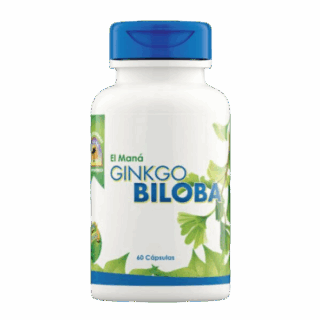 Ginkgo Biloba El maná