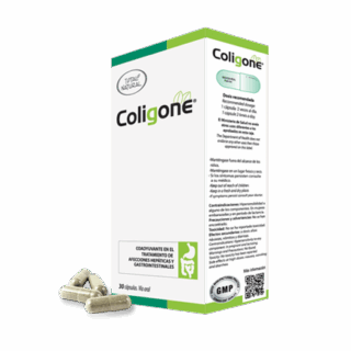 Coligone 30 cápsulas Total Natural